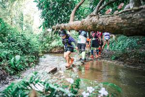 BIB: 
                            <button type="button" onclick="openModal(25517362)" class="btn btn-primary btn-sm float-right btn-popup" data-toggle="modal" data-target=".modal-high-quality">
                        <i class="fas fa-shopping-cart"></i> Add to Cart
                    </button>
                                            <button type="button" onclick="isThisMe(25517362, true)" class="btn btn-success btn-sm float-right btn-popup btn-isme hidden" data-toggle="tooltip" data-placement="bottom" title="นี่คือรูปของคุณใช่ไหม คลิกที่นี่เพื่อเอาเข้าอัลบั้ม">
                        <i class="fas fa-plus"></i> Add to album
                    </button>
                    <button type="button" onclick="isThisMe(25517362, false)" class="btn btn-warning btn-sm float-right btn-popup btn-isnotme hidden">
                        <i class="fas fa-ban"></i> Remove from album
                    </button>